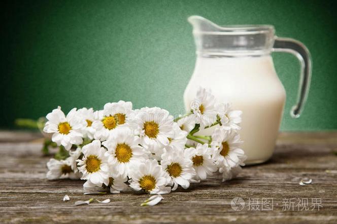 夏日玻璃罐里的乳制品诗篇——甘菊、黛西与一朵牛奶的清凉叙事