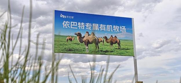 2026驼乳特色乳制品行业风向标 巴特乳业工厂核心优势梳理与代加工业务避坑指南
