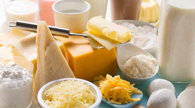国产乳制品行业 转型升级的关键时期与未来路径